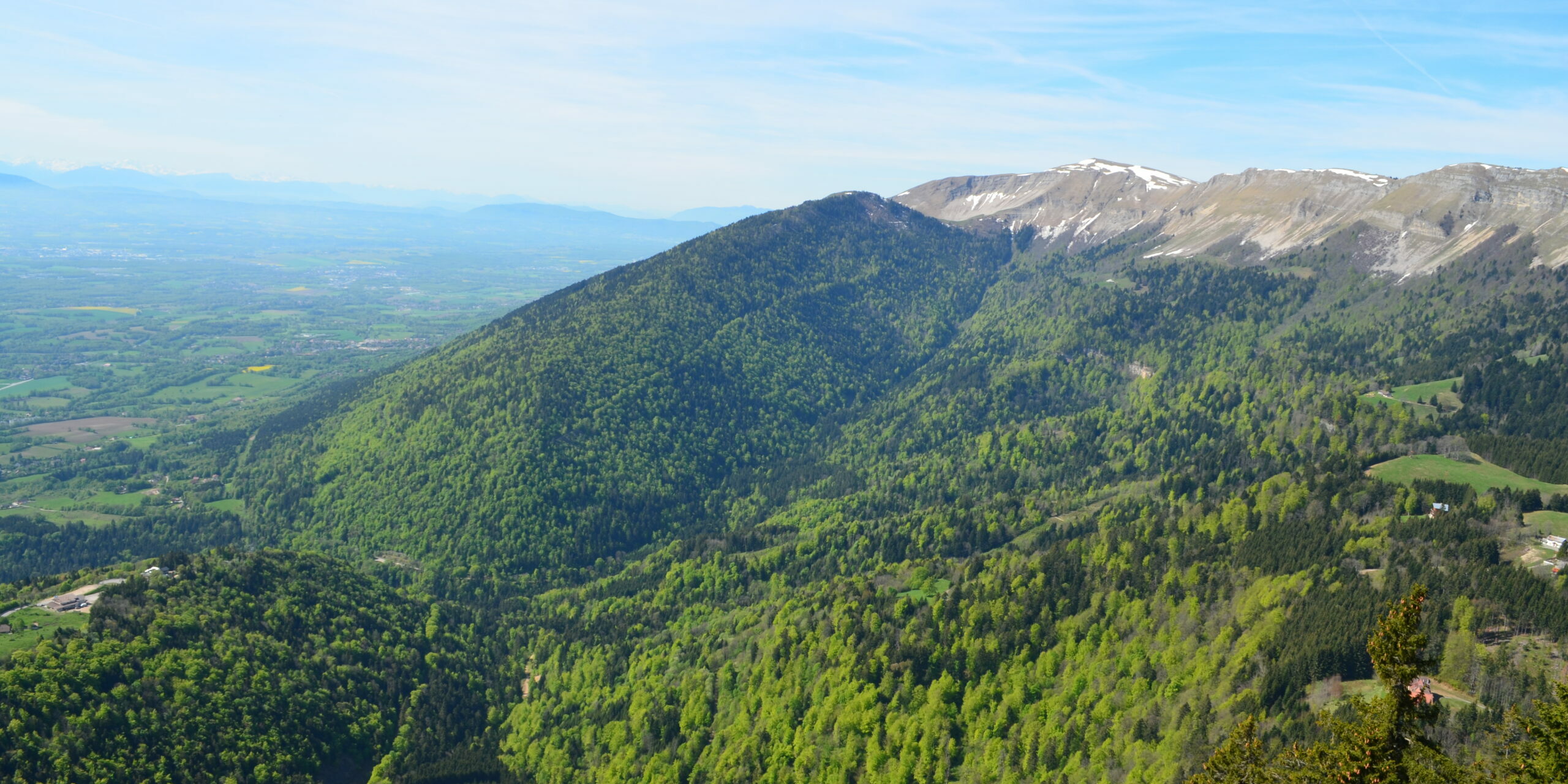 La forêt communale photo Philophoto (2)